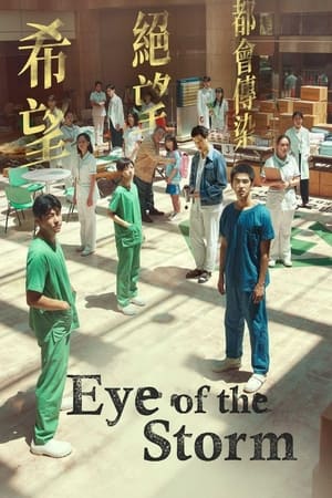 Eye of the Storm (2023) ซับไทย