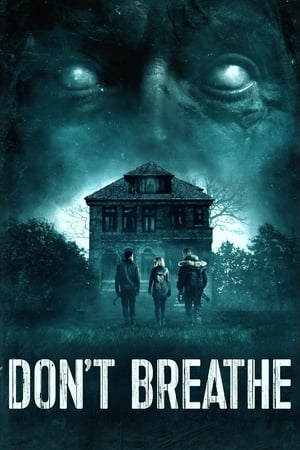 Don't Breathe (2016) ลมหายใจสั่งตาย ซับไทย