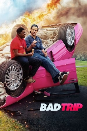 Bad Trip (2021) ทริปป่วนคู่อำ พากย์ไทย
