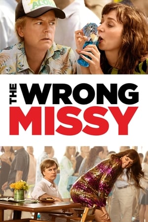 The Wrong Missy (2020) มิสซี่ สาวในฝัน (ร้าย) ซับไทย